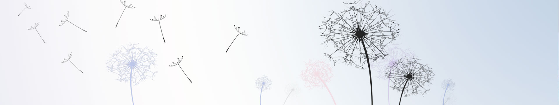 强乱强乱中文字幕