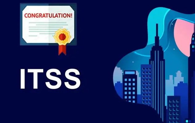 ITSS现场评估流程及评估报告形成