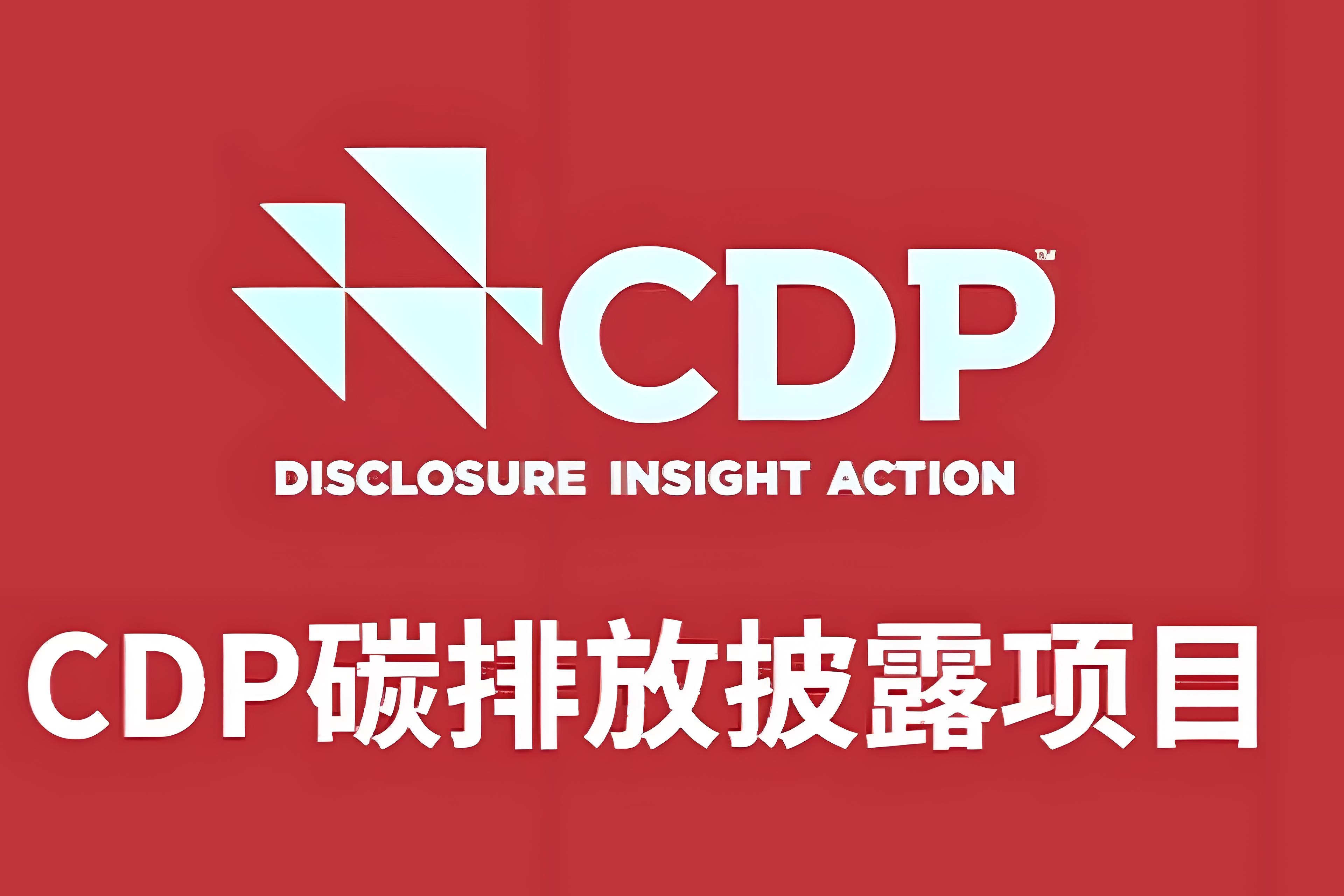 2025年CDP评级实战指南：新规解读、高分策略与标杆实践