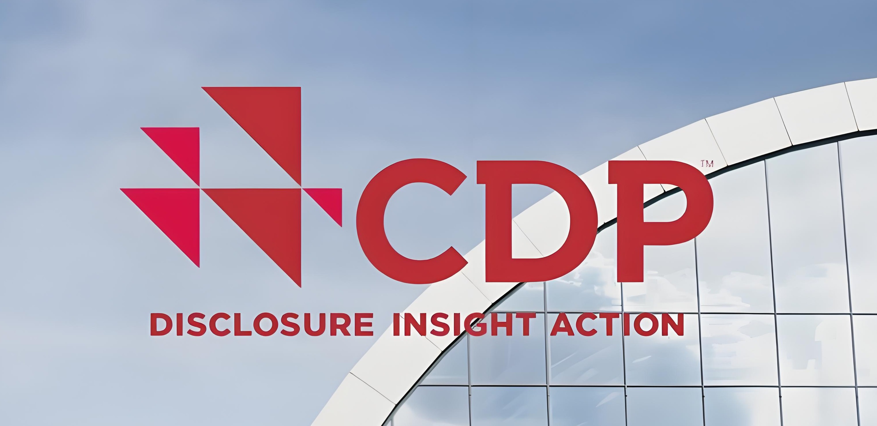 深入解析CDP评分体系：企业数据管理与隐私保护的新标准