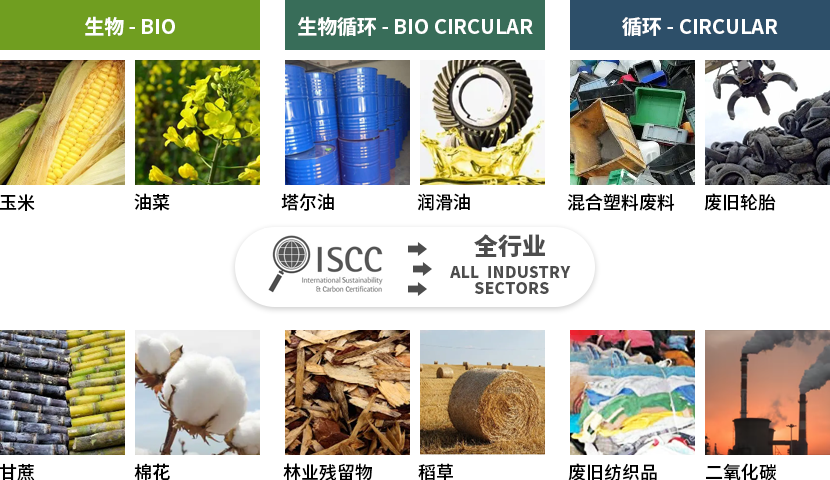 强乱强乱中文字幕