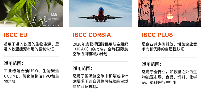 强乱强乱中文字幕