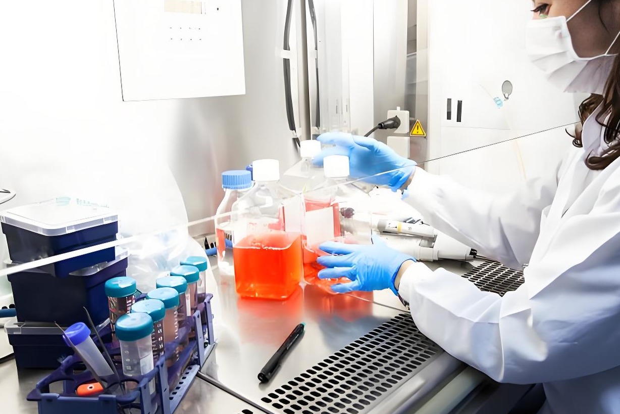 ISO 17025:2017标准结构概览