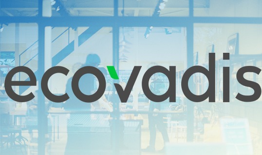 EcoVadis评级详解：全球供应链可持续发展的通行证