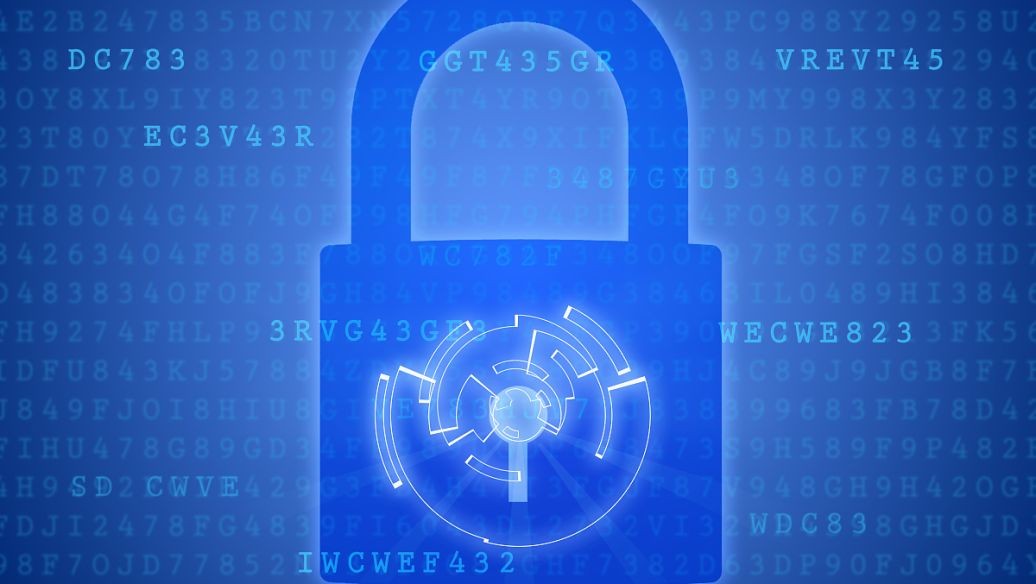 哪些组织需要建立信息安全管理体系？