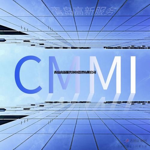 论CMMI的核心价值