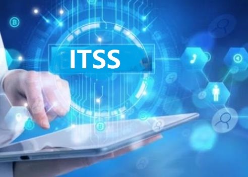 ITSS信息技术服务标准的实施原理是什么？