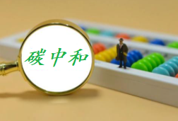 什么是碳中和？这应该如何实现？