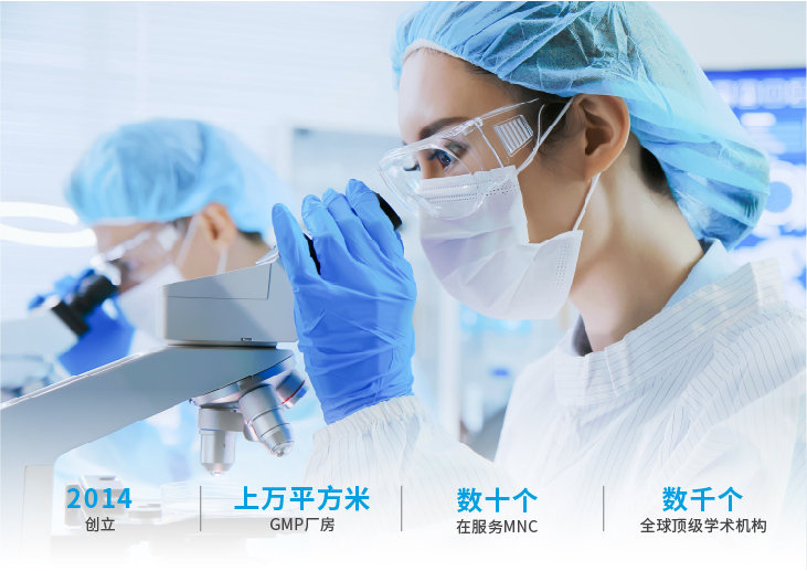 强乱强乱中文字幕