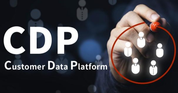 CDP披露周期及流程的关键步骤与时间节点